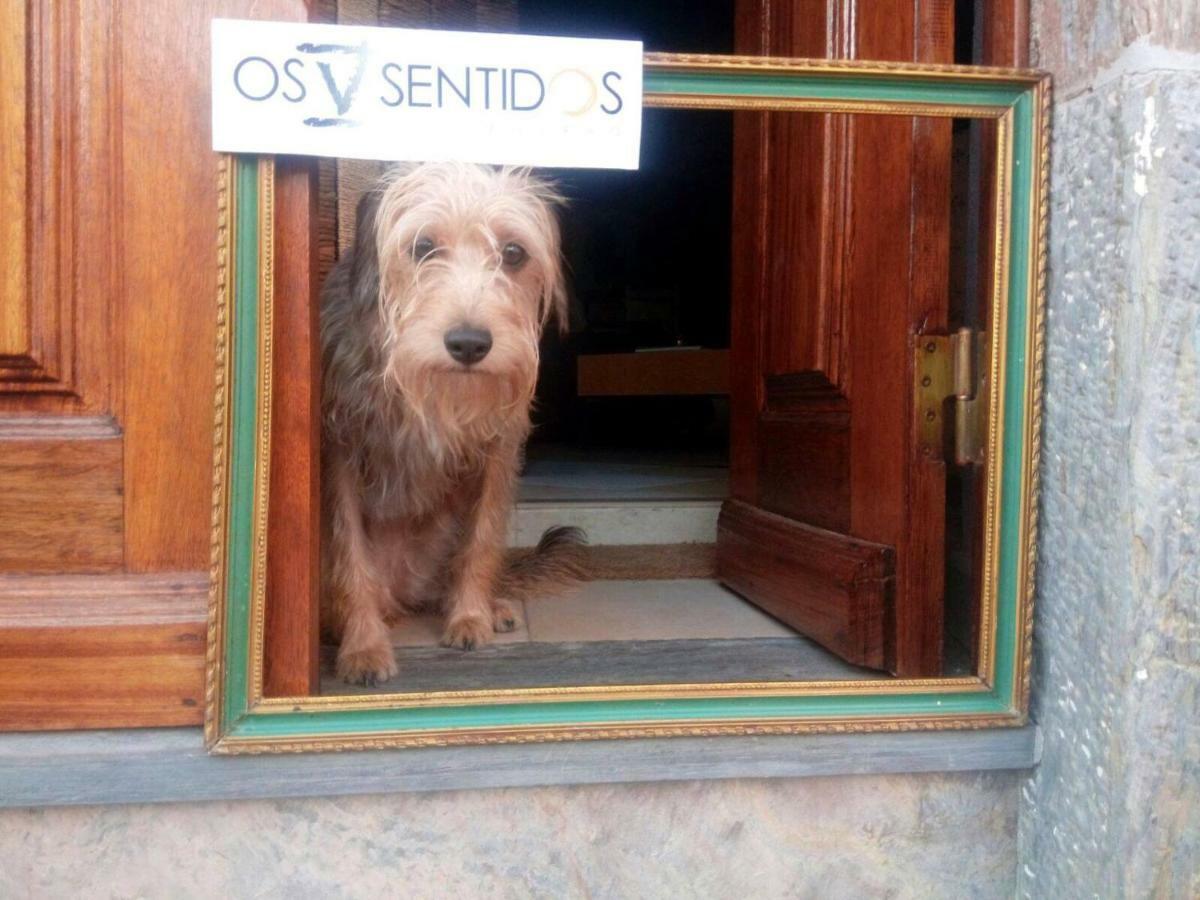 Os 5 Sentidos Villa Mourao Ngoại thất bức ảnh